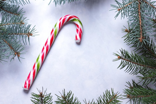 Candy cane Christmas tree branches on a light background Christmas concept Closeup View from above