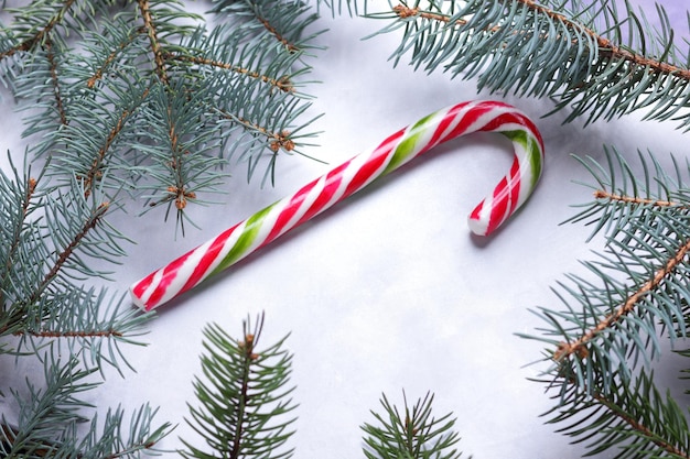 Candy cane Christmas tree branches on a light background Christmas concept Closeup View from above