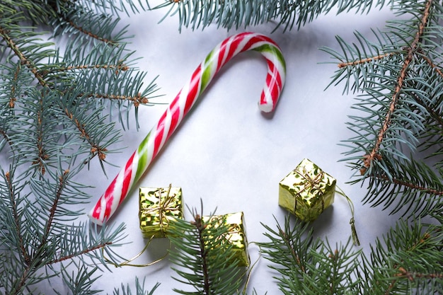 Candy cane Christmas tree branches on a light background Christmas concept Closeup View from above