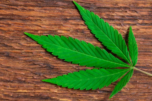 Photo cannabis leaf on old wooden table