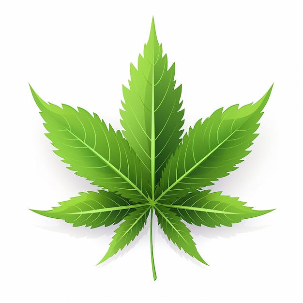 Cannabis Leaf Vector Art