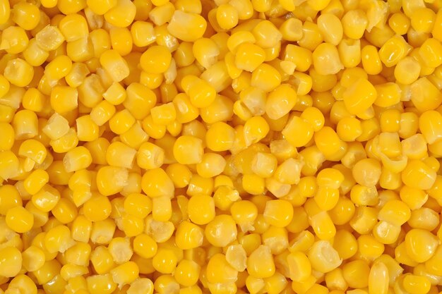 Canned sweet corn as background