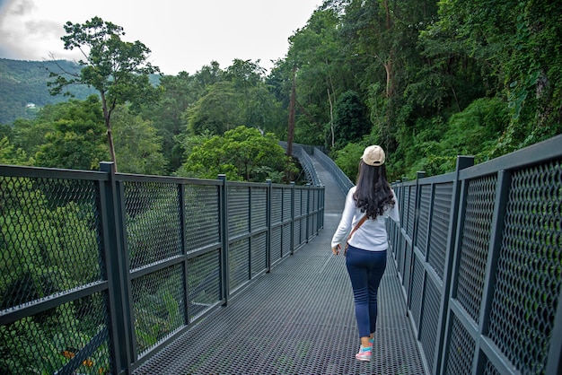 Canopy walkway Thailands longest treetop walkway opens at the Queen Sirikit Botanical Garden