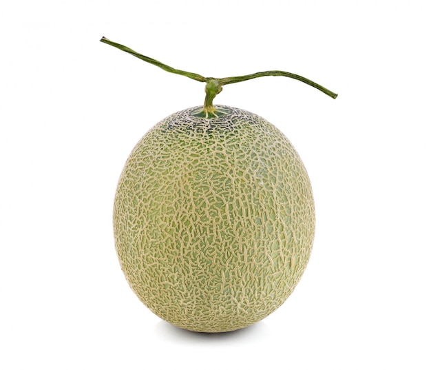 cantaloupe melon isolated