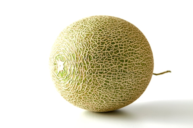 Cantaloupe melon