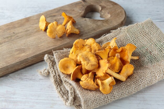 cantharellus mushrooms