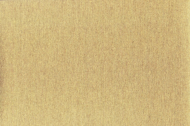 Canvas background