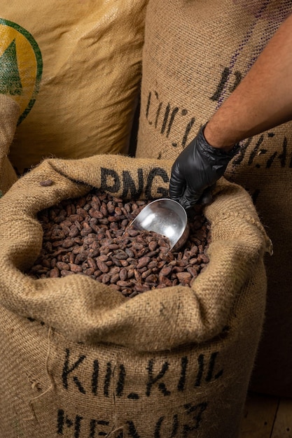 Canvas bag with Imported roasted cacao beans