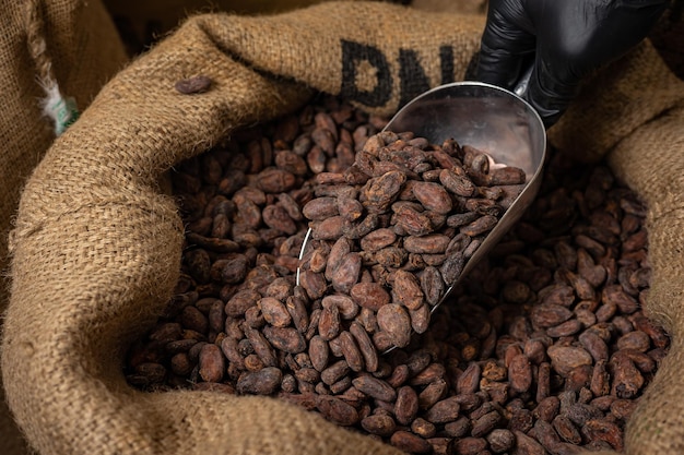 Canvas bag with Imported roasted cacao beans