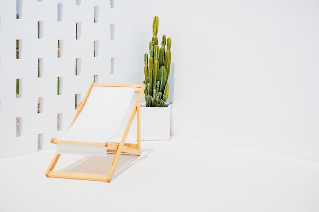 Canvas chairs and cactus set in front of the white wall background with copy space