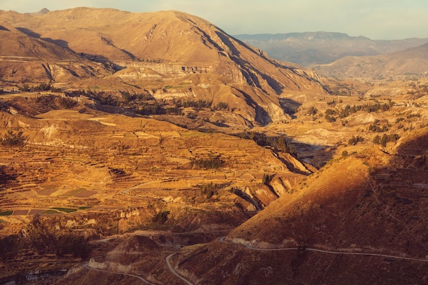 Canyon Colca in Peru, South America