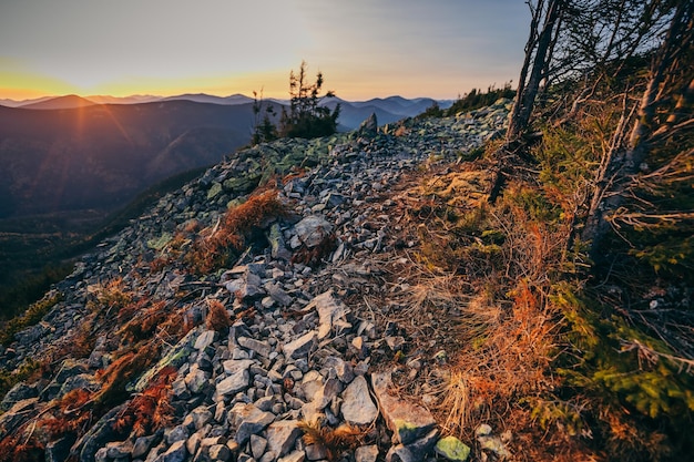 A canyon with a sunset in the background