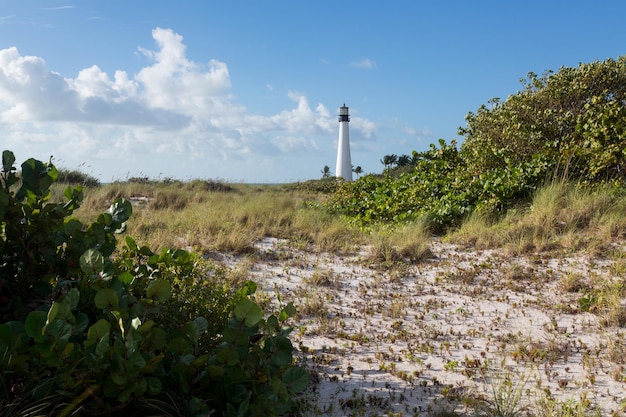 Cape Florida lighthouse in Bill Baggs