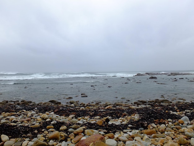 The cape of good hope South Africa