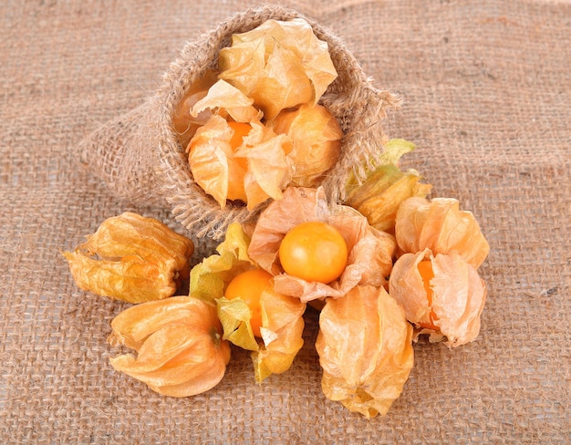 Cape gooseberries on brown background