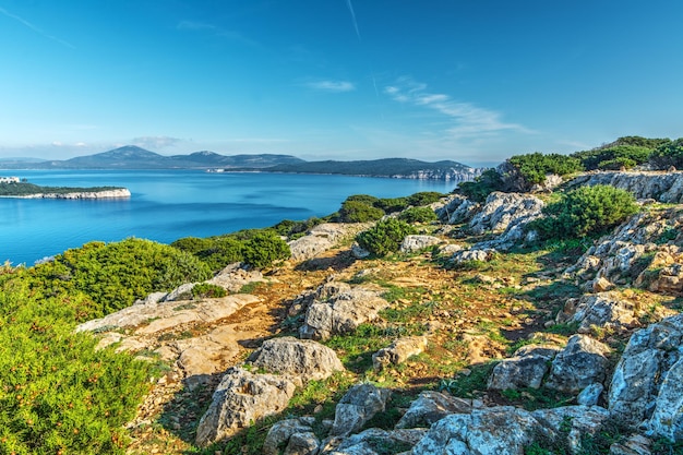 Capo Caccia rocky shore