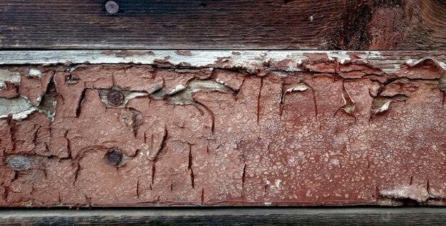 Captivating Capture A Stunning Photo of a Natural Textured Wooden Surface