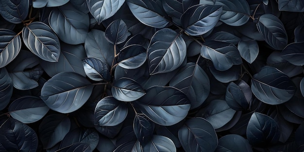 Captivating textures of black leaves for a striking tropical backdrop artistic composition Concept Outdoor Photoshoot Textured Leaves Tropical Backdrop Artistic Composition