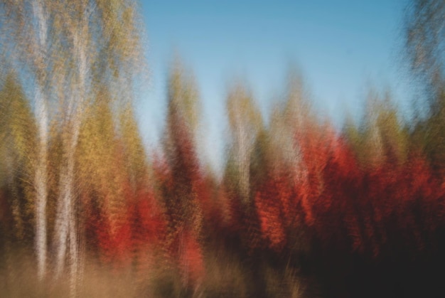 Capture the essence of spring with our collection featuring longexposure shots of vibrant tree