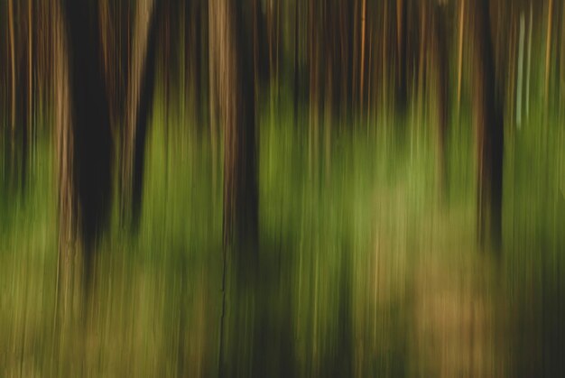 Capture the essence of spring with our collection featuring longexposure shots of vibrant tree