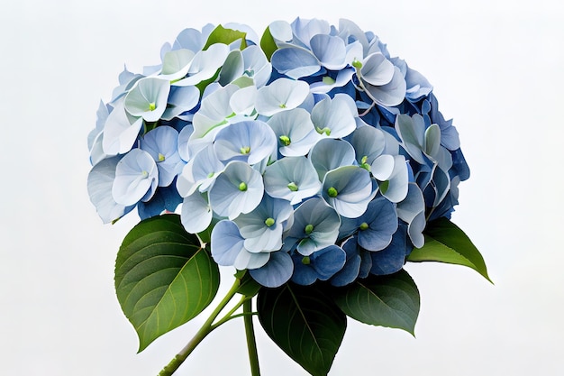 Capture the majestic elegance of hydrangeas Generative Ai