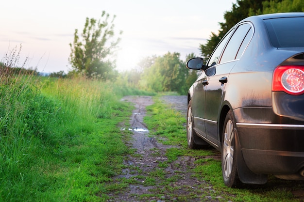 Car on a dirt road in a field of sunflowers and wheat with sunlight