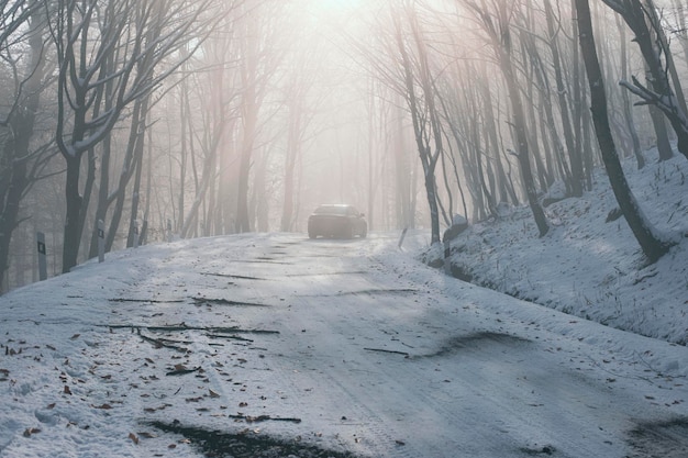 The car drives through the foggy forest