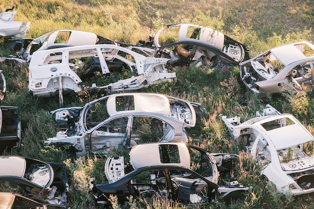 Car dump many car frames in which the grass has sprouted lie on the ground