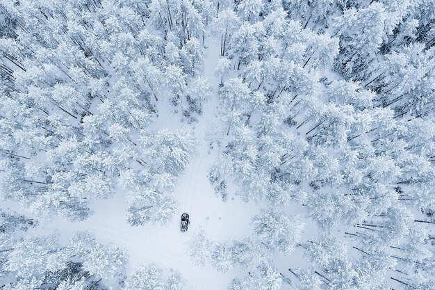 car in the evening forest in winter, top view, copter, aero photo, landscape winter forest