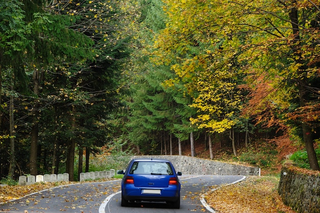 Car in the forest at Transfagarasan road