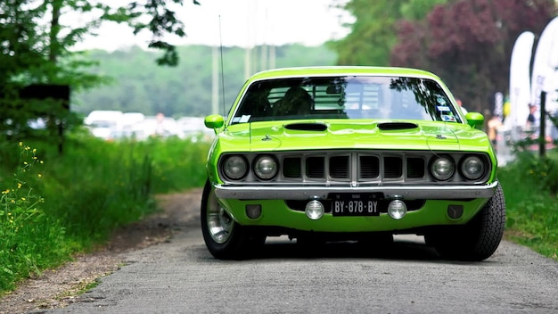 Car on the Road Green Car with Naturel look