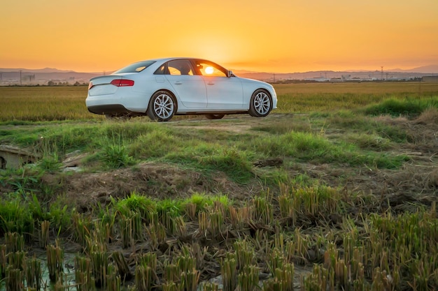 Car at sunset between the rice fields of the Albufera de Valencia natural park