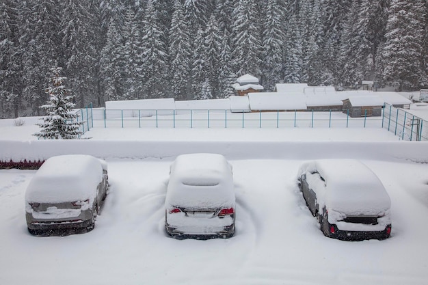 Car under a thick layer of snow Three snowcovered cars during a winter blizzard