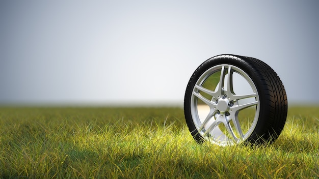 Car tire on grass