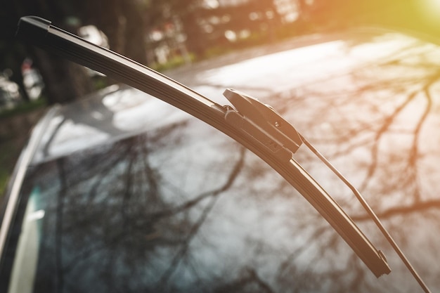 Car wiper raised above the windshield for maintenance