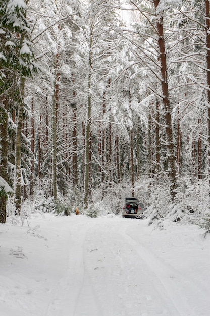 A car with an open boot in the forest in winter Picnic in a winter forest