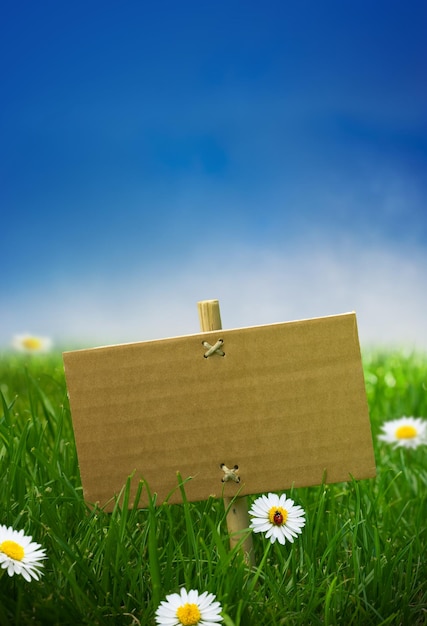 Cardboard sign in a green garden grass, nature background, empty blue sky some daisies flowers and a ladybird