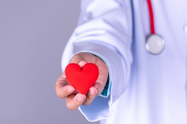 Cardiologist doctor holding red heart in hospital