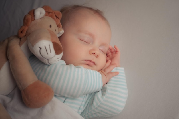 Carefree sleep little baby with soft toy lion on bed in bright room Baby boy sleeping