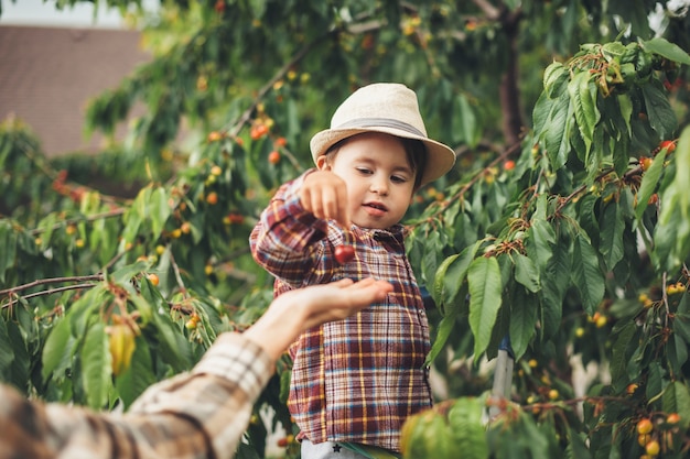 Careful caucasian boy wearing a hat is giving cherries to his mother standing near the tree