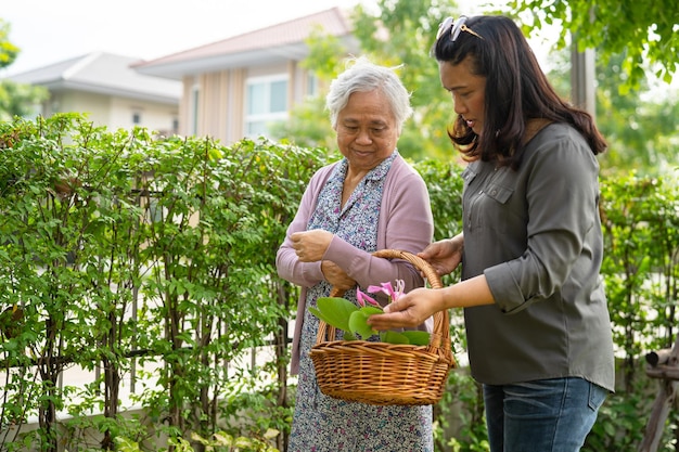 Caregiver and Asian senior woman smile bright face with strong health while walking at park