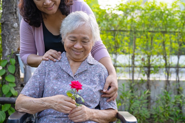 Caregiver daughter hug and help  Asian senior or elderly old lady woman holding red rose on wheelchair in park.