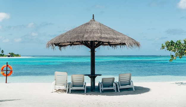 Caribbean paradise beach with umbrella and hammocks