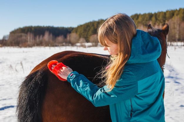 Caring for a horse Brushing with a lint and dust brush in winter