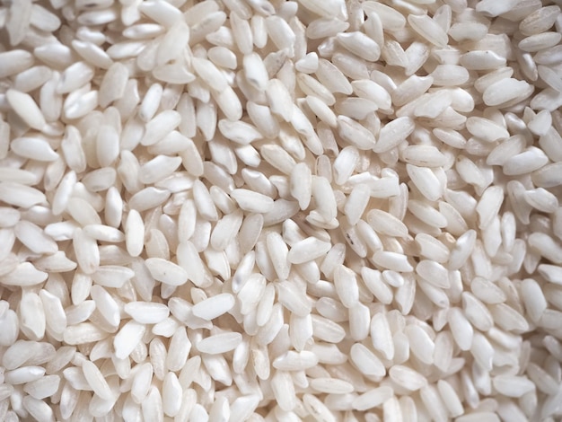 Carnaroli rice food