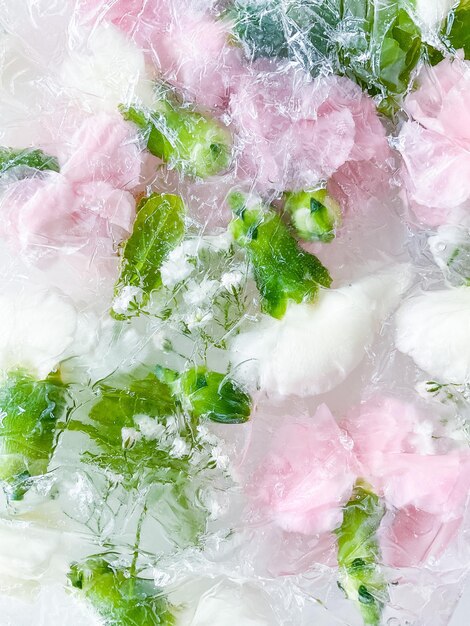 Carnation garden flowers frozen in ice backgraund