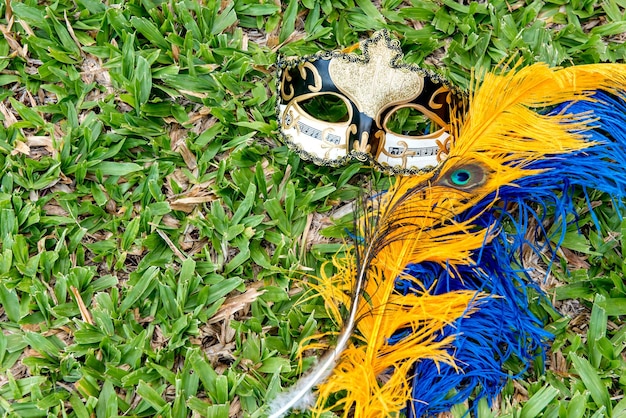 Carnival mask and colored feathers on grass