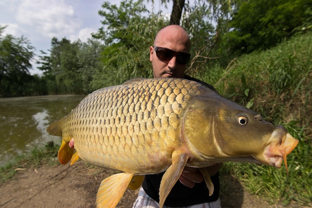 Carp and Fisherman, Carp fishing trophy