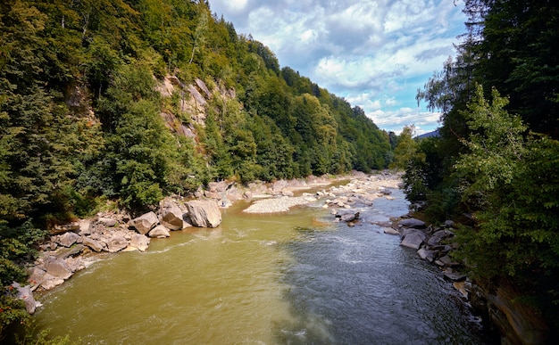 Carpathian landscape, mountains, trees, river, against the blue sky