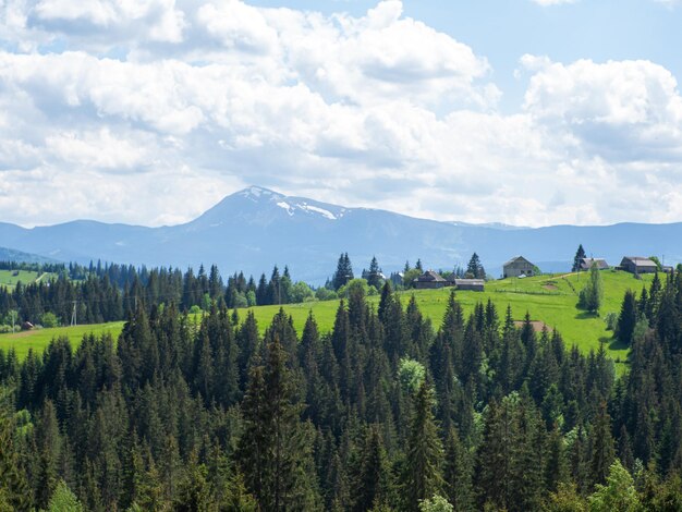 Carpathian landscape with cloudy sky